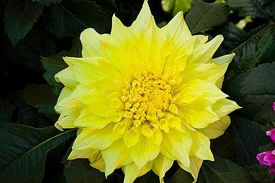 《合金装备》类游戏《黑色国度》12分钟实机 虚幻5引擎